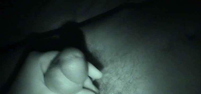 ShawnySMMasterCapture - Clip 001_00150000