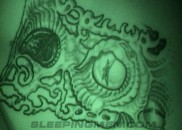 Sleeping-Skater-Rod-467
